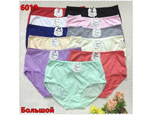 ����� ������� ������� �������� DINAI-6019 37 ���