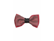 ������� 640.JPG