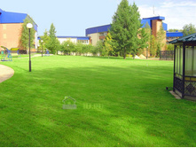 ����������(3��)���������� 546,90 ���..jpg