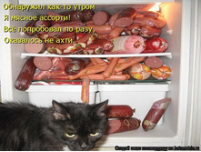 ������ ������� ...