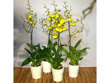 ��������- 400 ���.