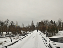 P 20171209 140745 HDR.jpg