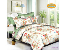 ���������� ����� �� ������� ���.RP-811.jpg