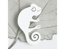 ����� �������� �����