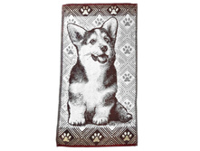 ��������� ����� ����� 40*70��