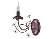 Anessi-WL60E14-1AB 1.jpg