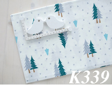 K339.jpg