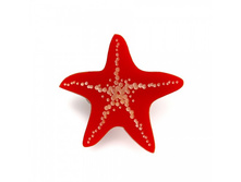 ����� Asteriidae �������