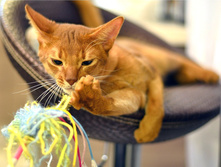 54b91253b72be dsc4530.jpg