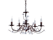 Anessi-CL60E14-5AB 1.jpg