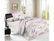 ���������� ����� �� ������� RP-134.jpg