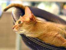 54b91258bc805 dsc4540.jpg