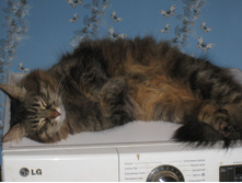 IMG 0055.JPG