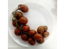 ����� ���������� ����� 10�� ����� 12,00 ���.. [���.��000010294]