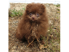 ����� ���.�� �������� ������.JPG