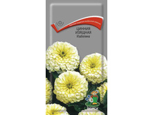 ����� ���������� 0,3� �.� 7,00 ���[���.��000002916]