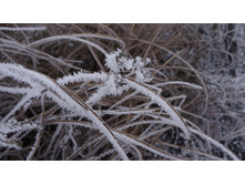 2017-11-28 15.18.37 cr.jpg