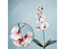 ������� ���������� 63 �� 1 �� (�����) 293 206�.jpg