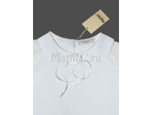 Img626 67831 big.jpg