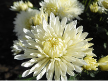 ��������� ���������� "����� ������"