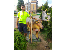 P 20170811 164702.jpg