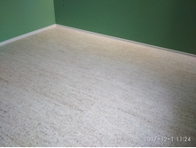 IMG 20171201 112405.jpg