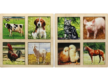 �������� Smile Decor - 16_�018_��������-��������� �������� �������� (2 ��������)_195