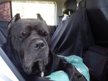 IMG 20170812 161252.jpg