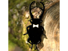 ����� ��� ������