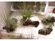 �����������  ����������-