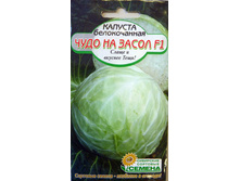 ������� �������. ���������� ���� F1 0,2� �� 10,00���. [���.��000010636]