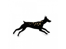 ����� �������� ��������