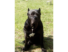 IMG 20160508 144335.jpg