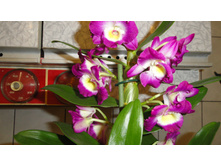 ���������� ����� �������