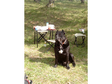 IMG 20160508 150430.jpg