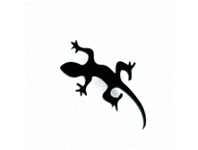 ����� ������ ������