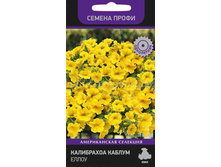 ���������� ������ ����� 5�� ����� 66,00 ���.[���.��000010378]