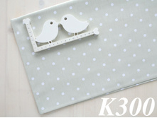 K300.jpg