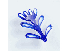 ����� ������ �����