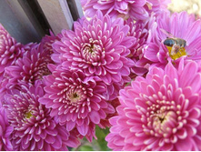 ��������� ���������� "������ "