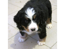 ����� �� ����� 025.JPG