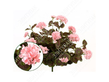 ���� ������ 50 �� 1 �� (�������) 752 527�.jpg