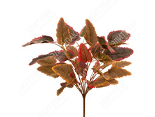 ������� 50 �� 1 �� (������-֣����) 380 266�.jpg