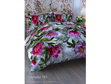 703 ��������.jpg