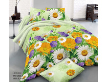 ���������� ����� �� ������� RP-131.jpg