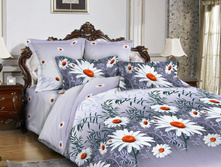 ���������� ����� ���� ��� ��� RBH-055.jpg