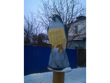 P 20171209 080808.jpg