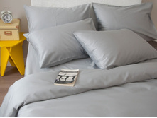 Silver Premium ������� �����