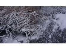 2017-11-28 15.18.40 cr.jpg