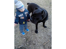 IMG 20160412 171921 (1).jpg